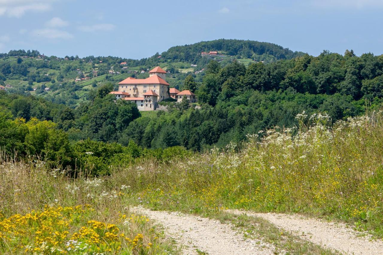 Villa Domacija Vesel Trebnje Exterior foto