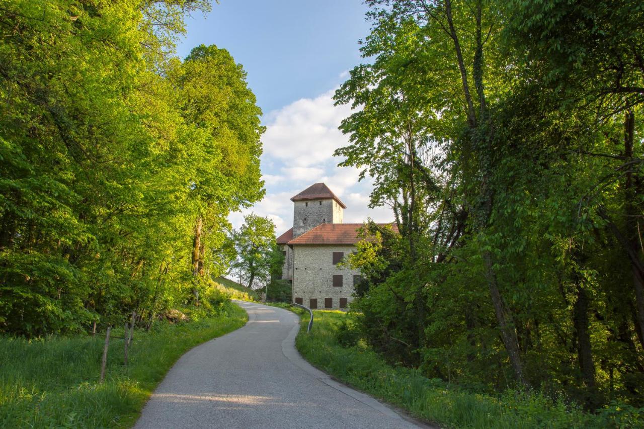 Villa Domacija Vesel Trebnje Exterior foto