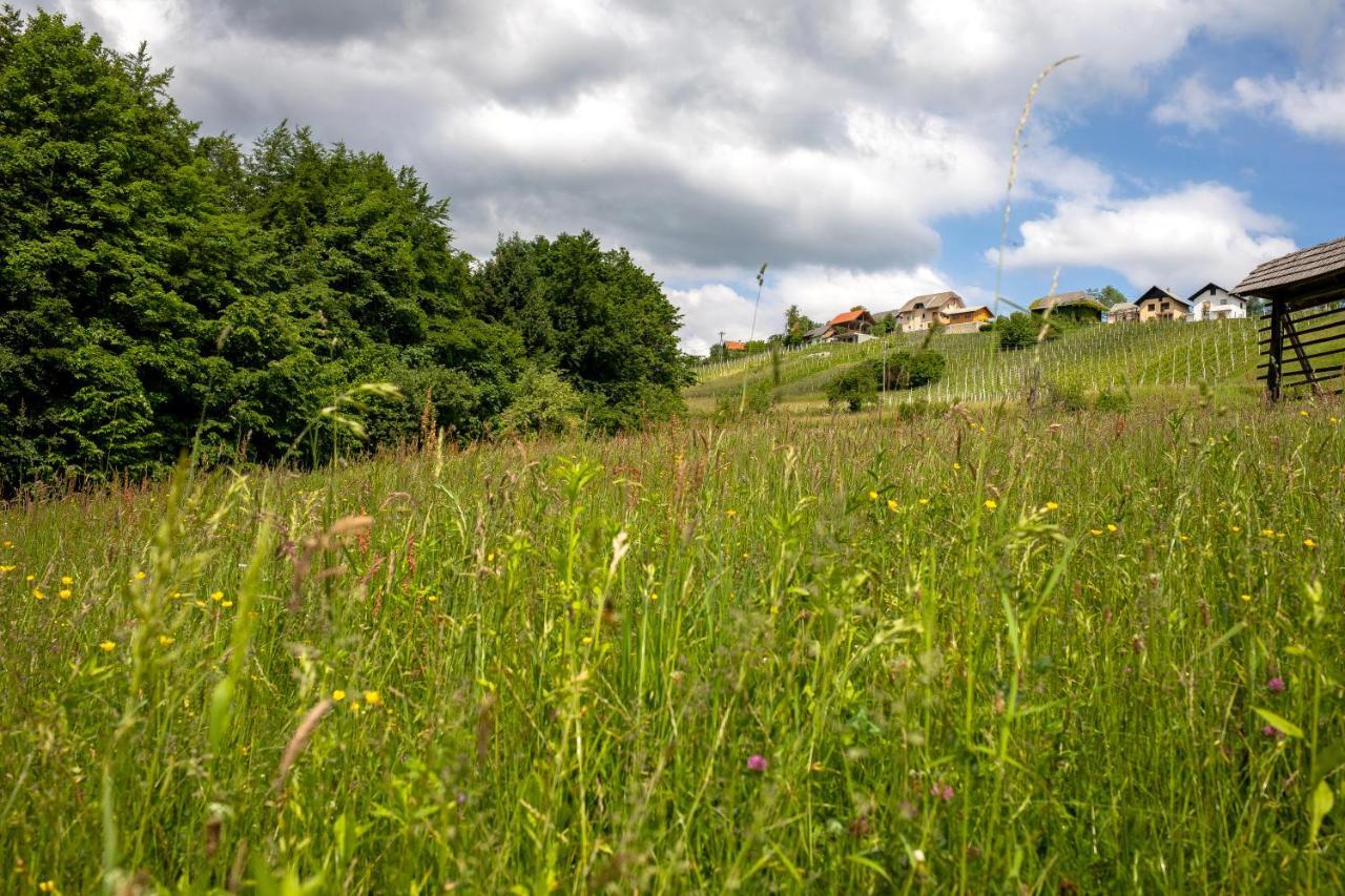 Villa Domacija Vesel Trebnje Exterior foto